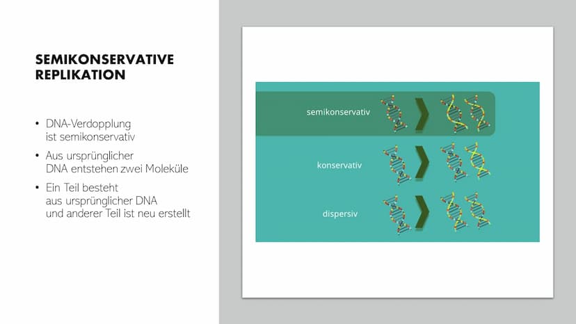 DNA-REPLIKATION
Johann, Alina, Vincent, Santino GLIEDERUNG
●
●
●
●
Allgemeine Informationen
Definition
Antiparallele DNA-Stränge
• Vorgang
E