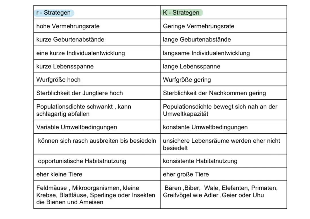 K-Strategen und R-Strategen: Beispiele, Tabelle, Pflanzen und Tiere erklärt