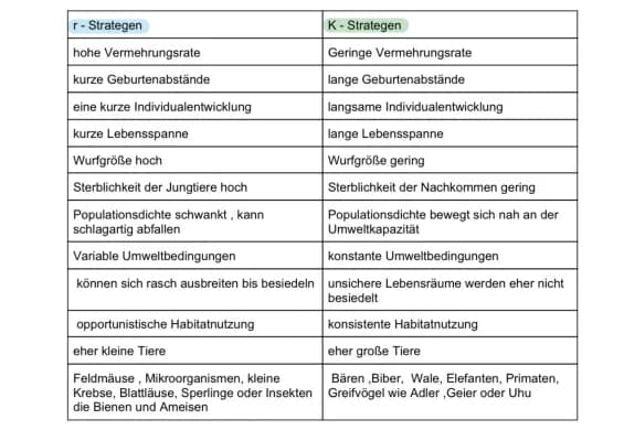 Know r - Strategen /K - Strategen  thumbnail