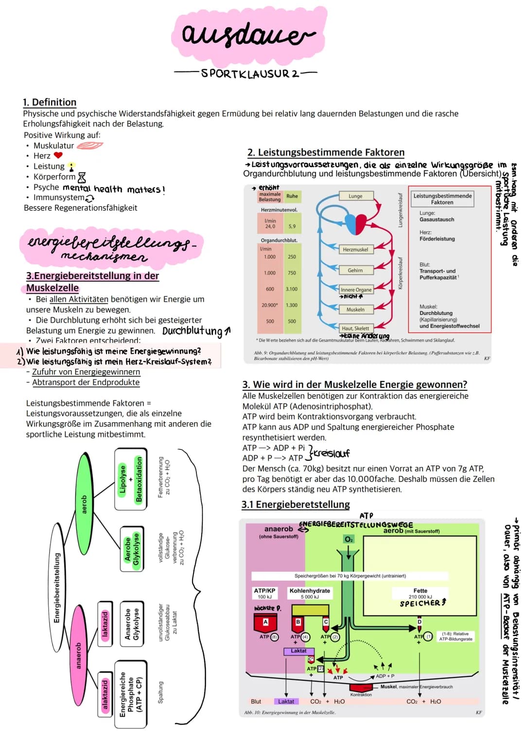 • Muskulatur
Herz ♥
1. Definition
Physische und psychische Widerstandsfähigkeit gegen Ermüdung bei relativ lang dauernden Belastungen und di