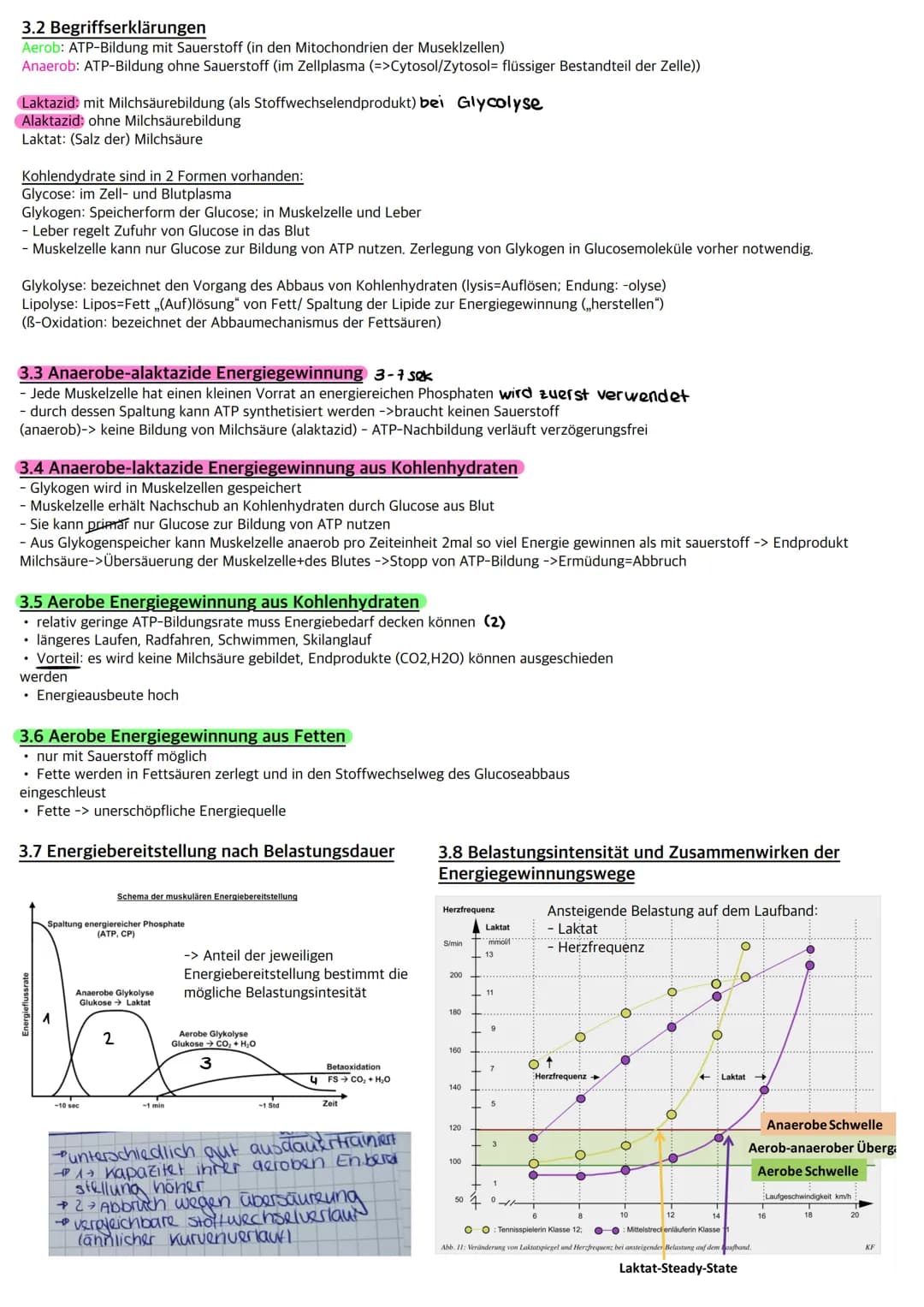 • Muskulatur
Herz ♥
1. Definition
Physische und psychische Widerstandsfähigkeit gegen Ermüdung bei relativ lang dauernden Belastungen und di