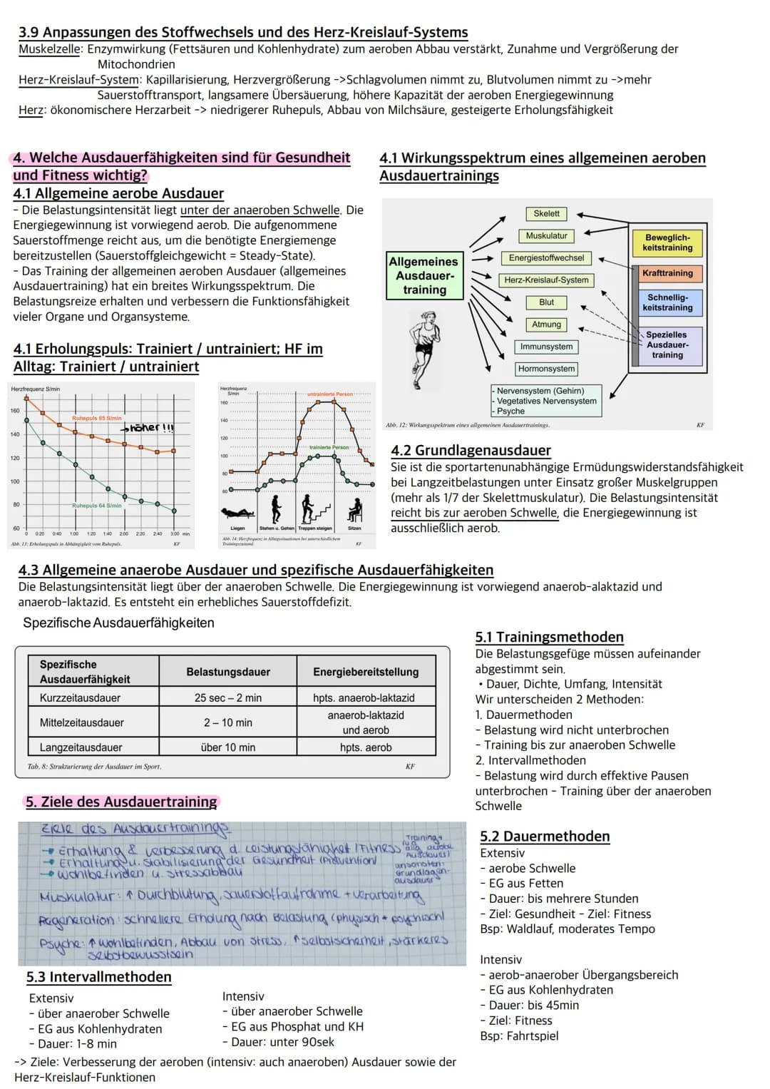 • Muskulatur
Herz ♥
1. Definition
Physische und psychische Widerstandsfähigkeit gegen Ermüdung bei relativ lang dauernden Belastungen und di