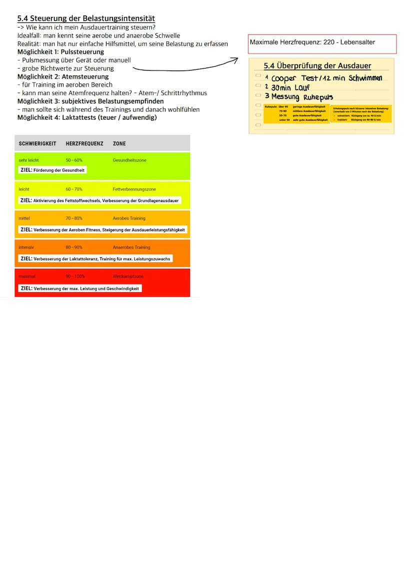 • Muskulatur
Herz ♥
1. Definition
Physische und psychische Widerstandsfähigkeit gegen Ermüdung bei relativ lang dauernden Belastungen und di