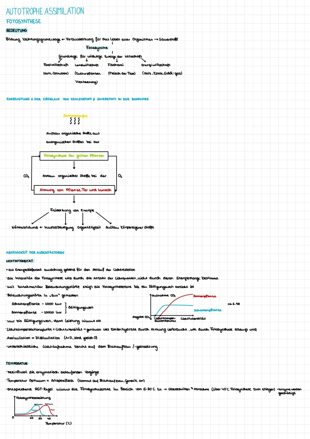 AUTOTROPHE ASSIMILATION
FOTOSYNTHESE
BEDEUTUNG
Bildung Nahrungsgrundlaage & Voraussetzung für das Leben aller Organismen → Sauerstoff
I
Folo