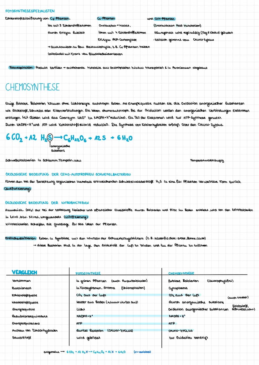 AUTOTROPHE ASSIMILATION
FOTOSYNTHESE
BEDEUTUNG
Bildung Nahrungsgrundlaage & Voraussetzung für das Leben aller Organismen → Sauerstoff
I
Folo