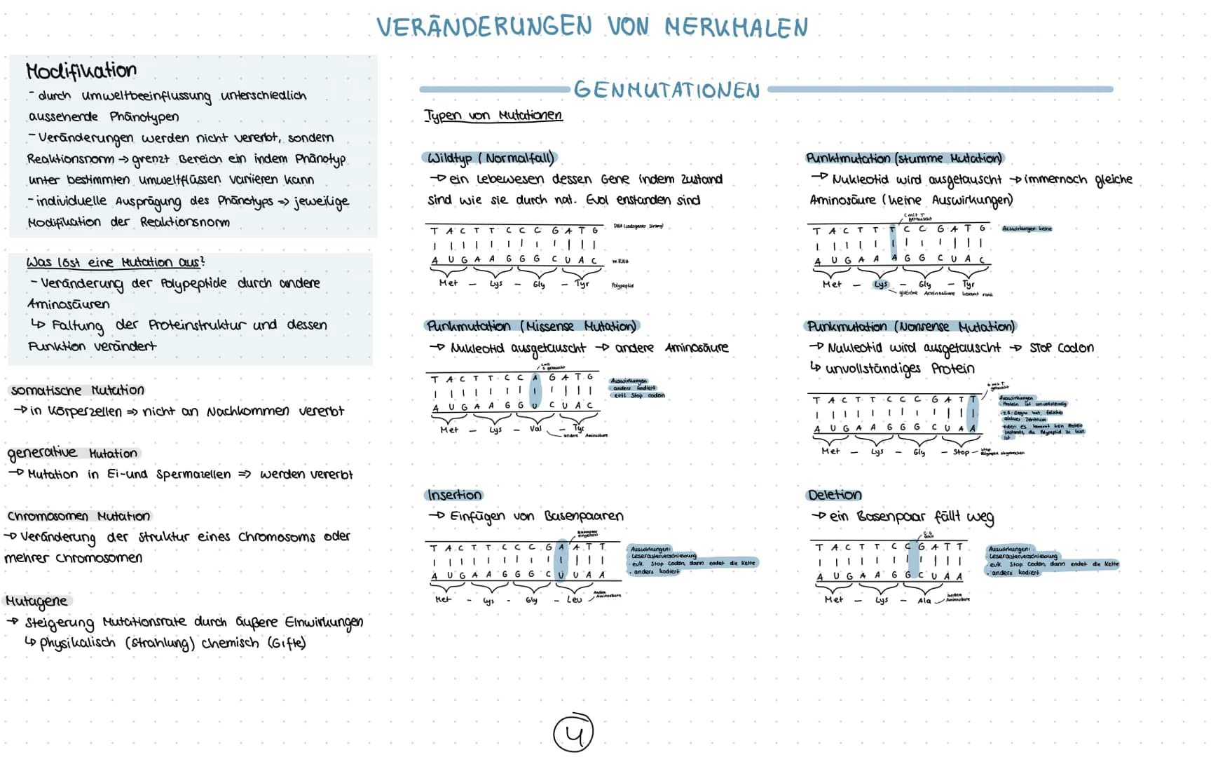 1) Chromosomen
- Aufbau
2) zellzyklus
-Interphase
-Mitose
3) Meiose
1. Reifeteilung
2. Reifeteilung.
Ergelonis
•intrachromosomale Rekombinat