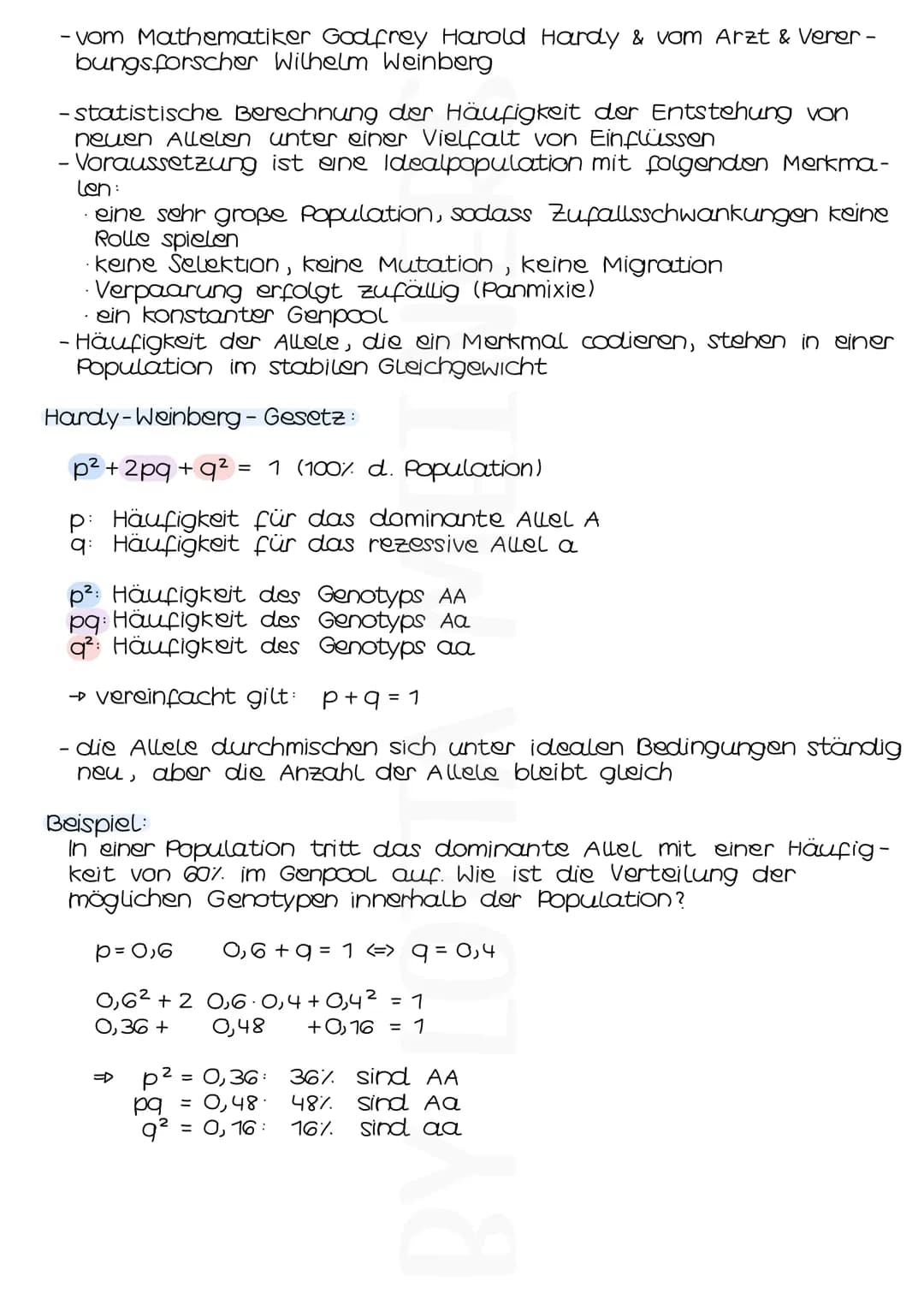 Populationsgenetik
GENPOOL &ALLELFREQUENZ
- Genpool: Gesamtheit aller genetischer Informationen der Indivi-
duen einer Population
- Allelfre
