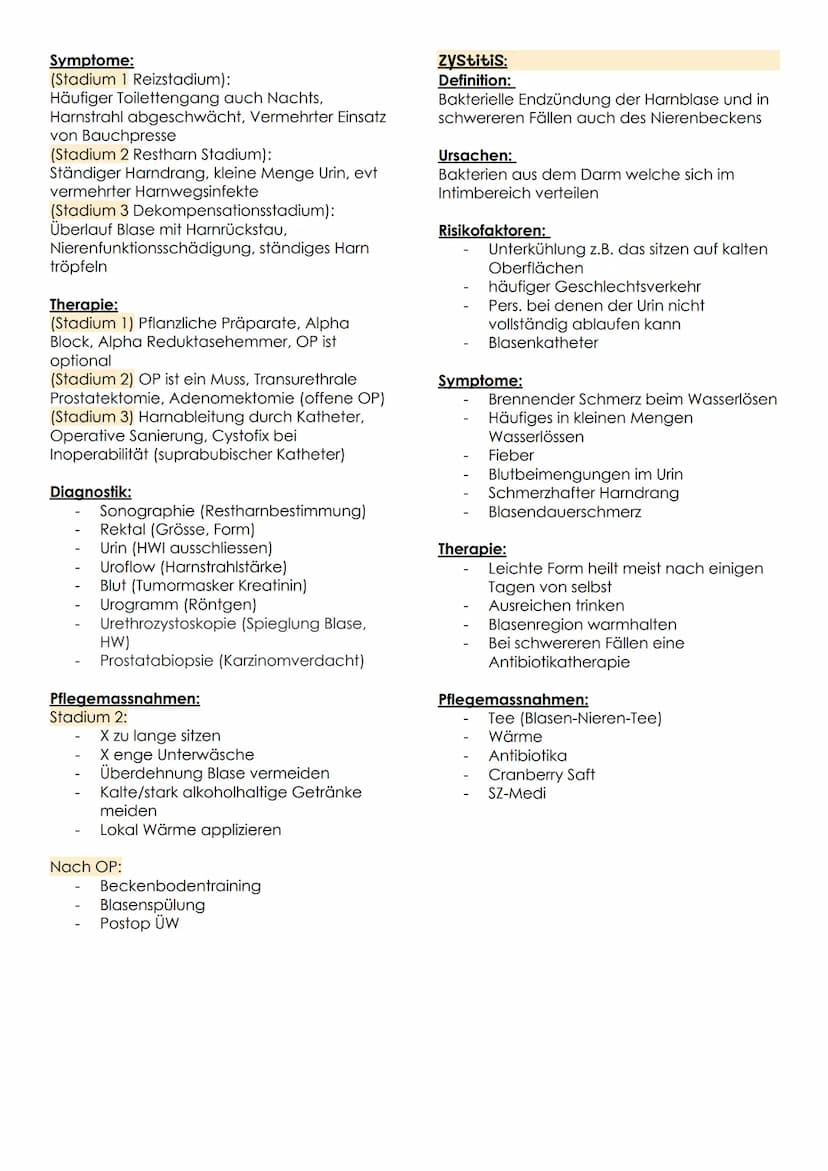ausscheidung B.3 Teil 2
Anatomie Physiologie Harnausscheidung:
Arteria renaris
Vena
renaris
Harnsystem
Nievewinde
www
Nievenbecken m
Nierenm