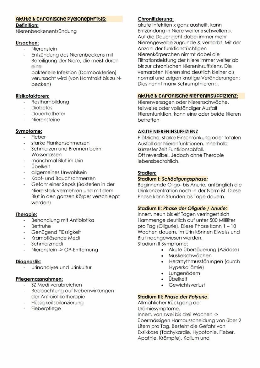 ausscheidung B.3 Teil 2
Anatomie Physiologie Harnausscheidung:
Arteria renaris
Vena
renaris
Harnsystem
Nievewinde
www
Nievenbecken m
Nierenm