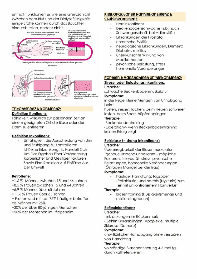 ausscheidung B.3 Teil 2
Anatomie Physiologie Harnausscheidung:
Arteria renaris
Vena
renaris
Harnsystem
Nievewinde
www
Nievenbecken m
Nierenm