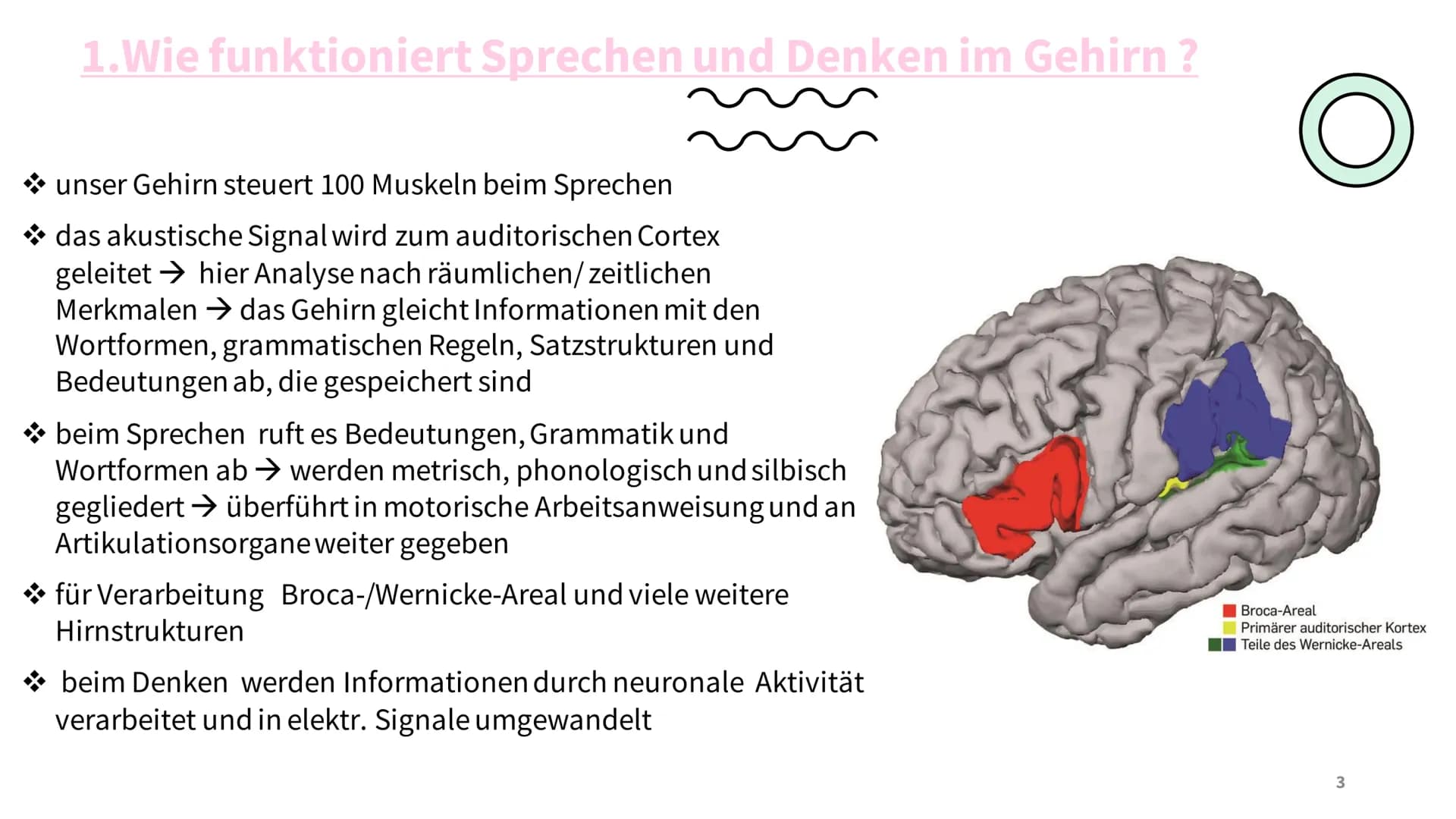 SPRACHE
UND
DENKEN
LUISE JAENICKE Gliederung
1. Wie funktioniert Sprechen und Denken im Gehirn?
2. Kann man ohne Sprache Denken?
3. Einfluss