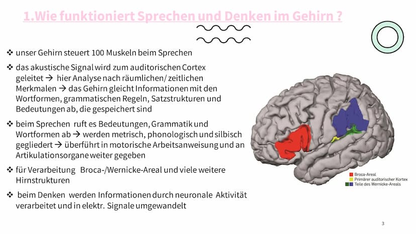 SPRACHE
UND
DENKEN
LUISE JAENICKE Gliederung
1. Wie funktioniert Sprechen und Denken im Gehirn?
2. Kann man ohne Sprache Denken?
3. Einfluss