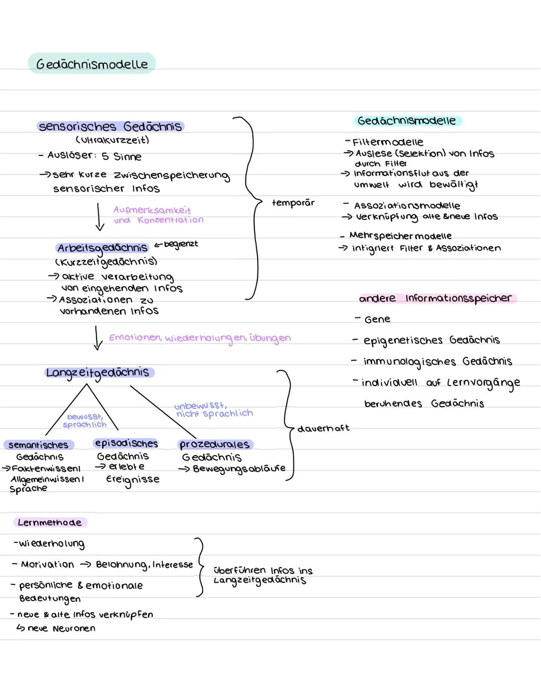 Spannung der Zelle
Membranpotenzial/elektrischer Gradient
- elektrische Potenzialdifferenz
→ Spannung zwischen Innen- & Außenseite der Membr
