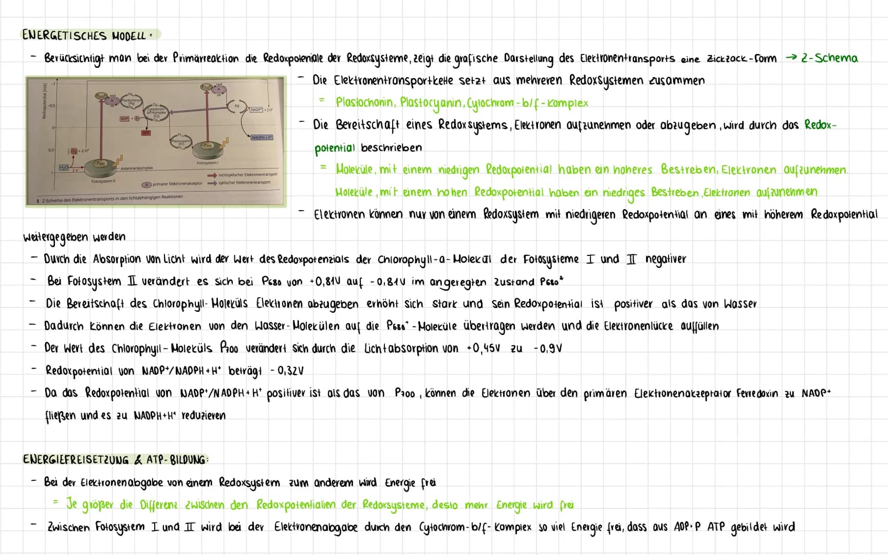 PRIMÄRREAKTION
CHEMIOSMOTISCHES MODELL-
-
-
Lichtreaktion:
2H20+3ADP+P+ZNADP+
02+3 ATP+2NADPH+H*
Im Verlauf der lichtabhängigen Reaktion wer