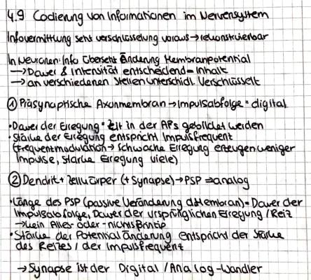 Know Codierung von Informationen im Nervensystem thumbnail