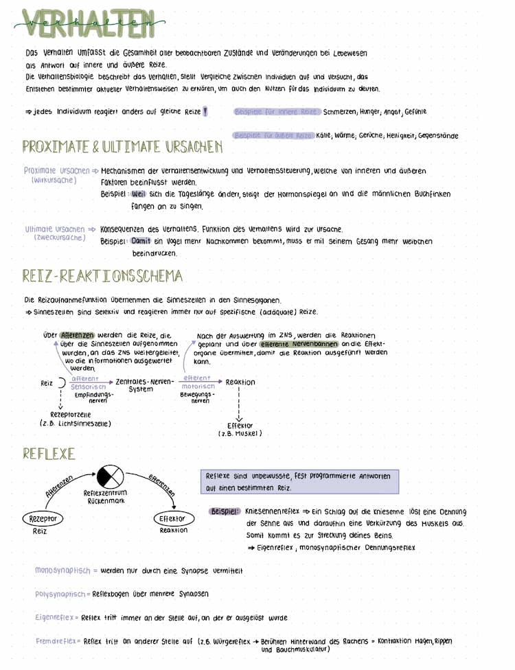 Know Verhaltensbiologie thumbnail