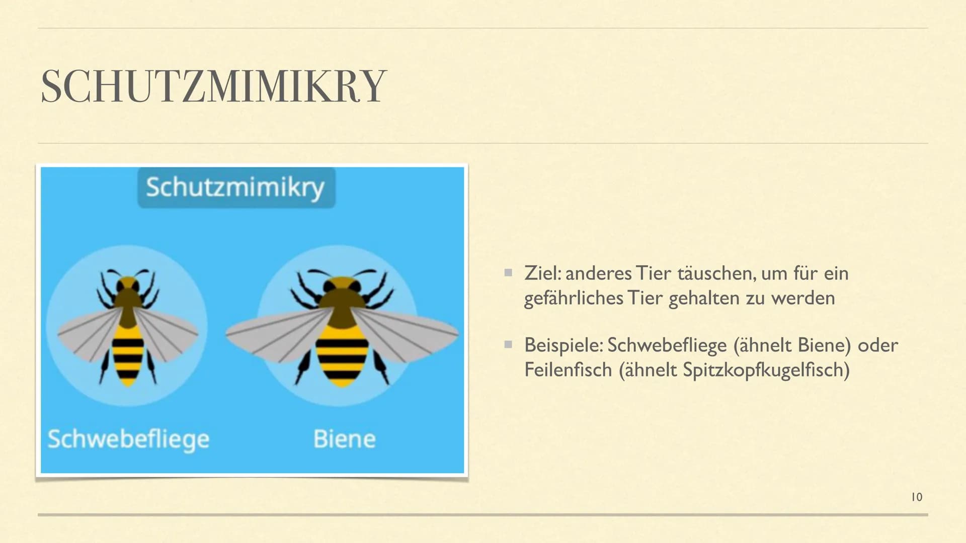 MIMESE & MIMIKRY
Formen der Tarnung INHALTSVERZEICHNIS
■ Mimese Definition
Drei Arten der Mimese + Beispiele
▪ Mimikry Definition
Arten der 