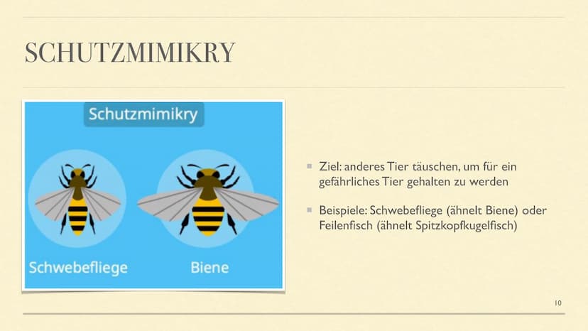 MIMESE & MIMIKRY
Formen der Tarnung INHALTSVERZEICHNIS
■ Mimese Definition
Drei Arten der Mimese + Beispiele
▪ Mimikry Definition
Arten der 