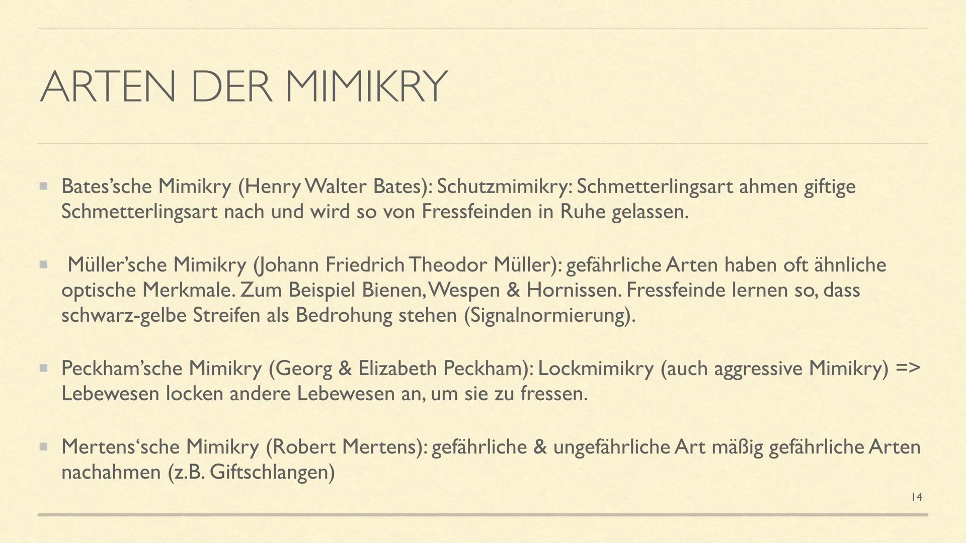 MIMESE & MIMIKRY
Formen der Tarnung INHALTSVERZEICHNIS
■ Mimese Definition
Drei Arten der Mimese + Beispiele
▪ Mimikry Definition
Arten der 