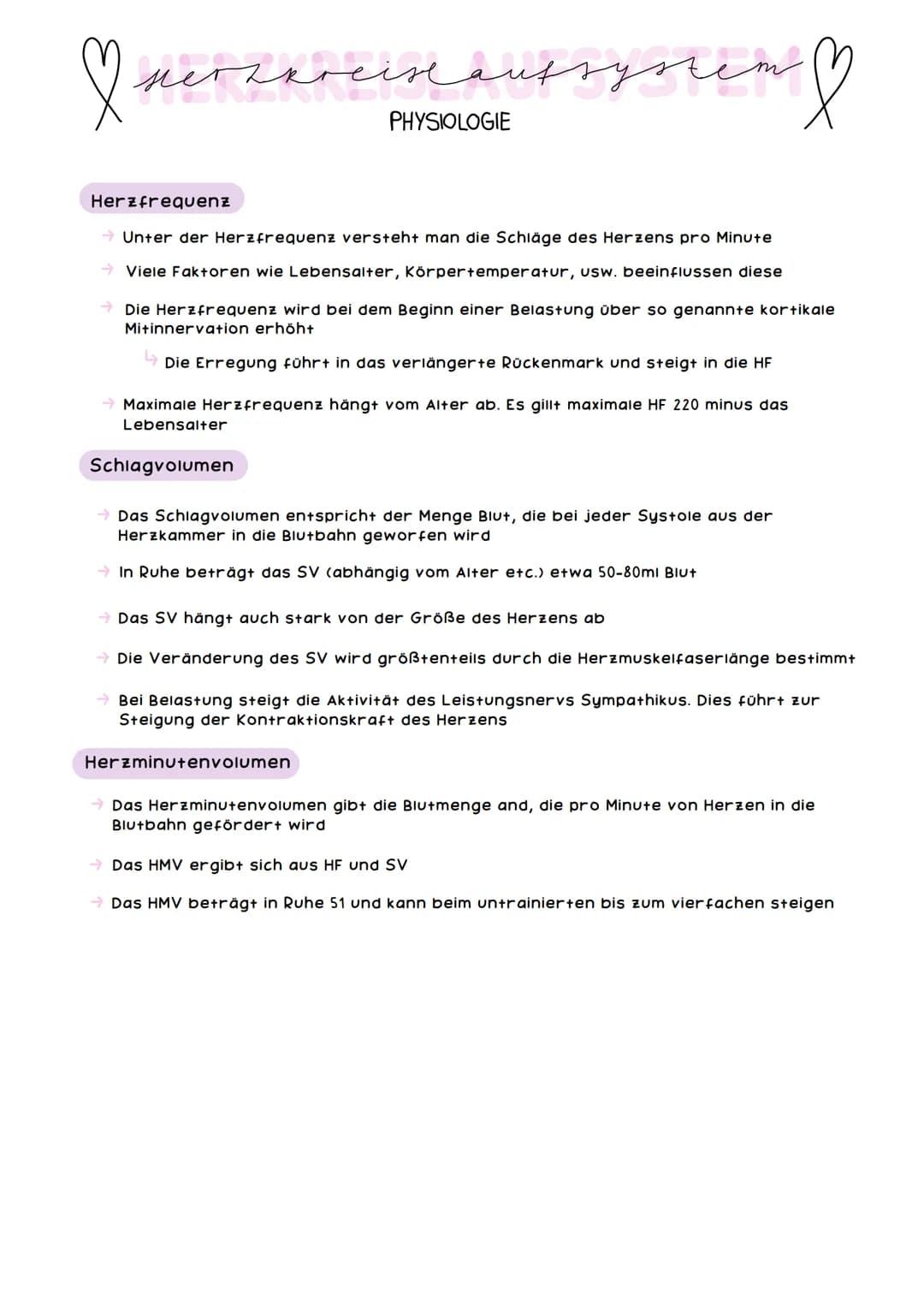 obere
Hohlvene
Pulmonal-
klappe
Trikuspidal-
klappe
Rechte Herzhälfte hat
das Sauerstoffarme
Blut
mers &
ANATOMIE
rechter
Vorhof
untere Hohl