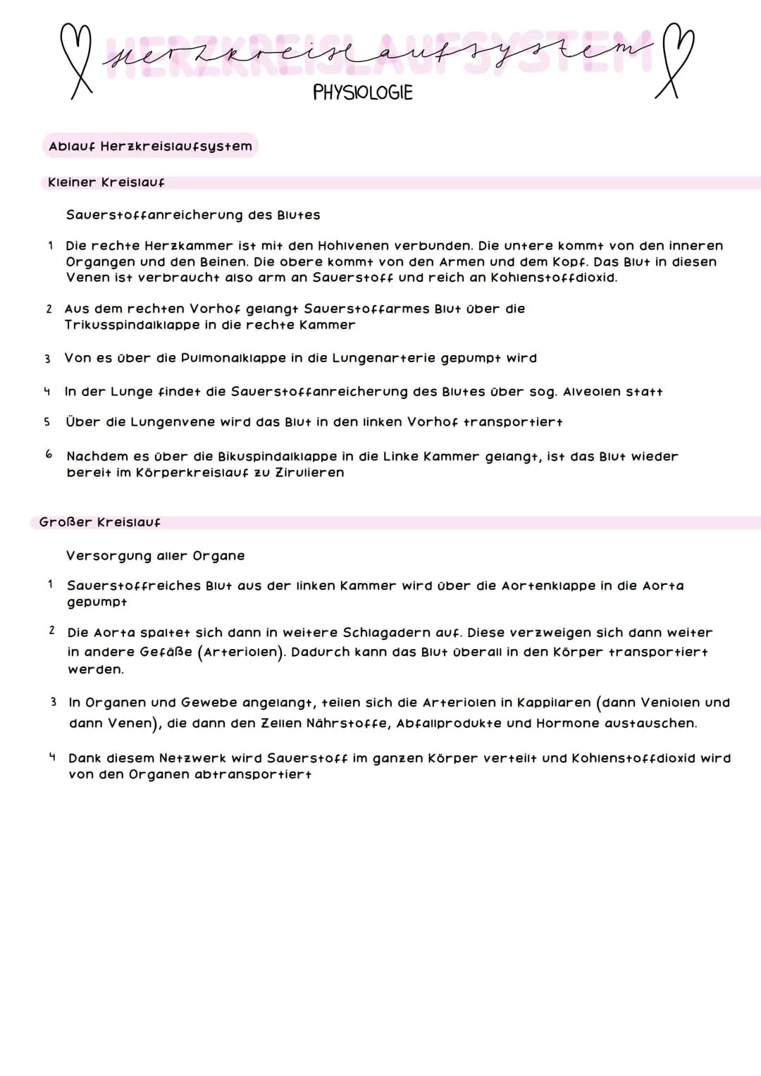 obere
Hohlvene
Pulmonal-
klappe
Trikuspidal-
klappe
Rechte Herzhälfte hat
das Sauerstoffarme
Blut
mers &
ANATOMIE
rechter
Vorhof
untere Hohl