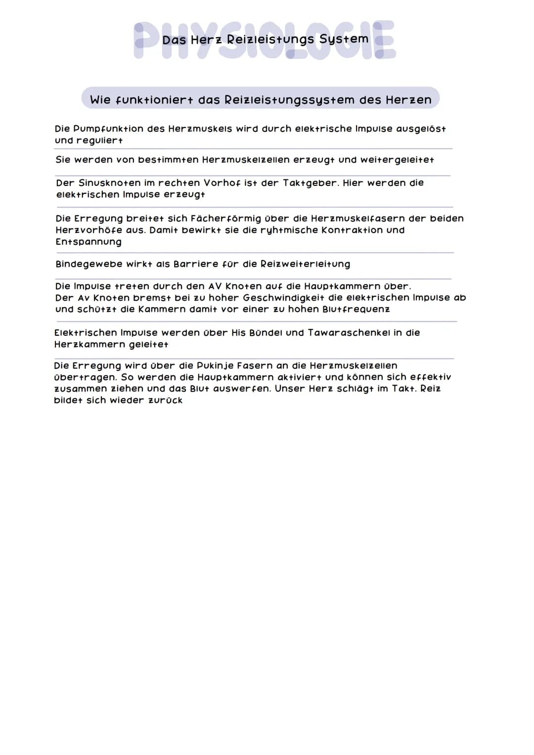 obere
Hohlvene
Pulmonal-
klappe
Trikuspidal-
klappe
Rechte Herzhälfte hat
das Sauerstoffarme
Blut
mers &
ANATOMIE
rechter
Vorhof
untere Hohl