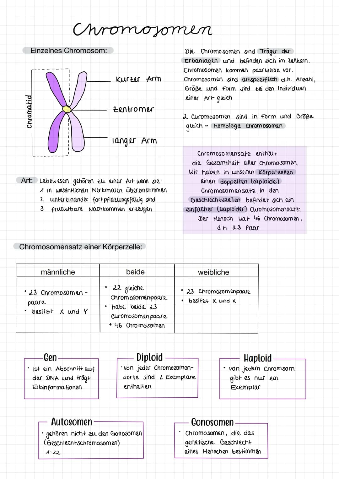 Fachbegriffe
Allele
Gen
Phänotyp
Genotyp
Kennzeichnung: P
Kennzeichnung: F
reinerbig
(homozygot)
Elterngeneration
Ausgangsgruppe einer
(Pare