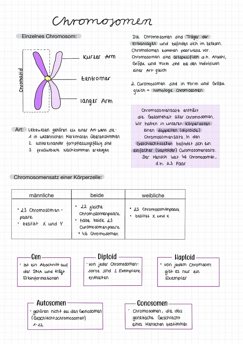 Fachbegriffe
Allele
Gen
Phänotyp
Genotyp
Kennzeichnung: P
Kennzeichnung: F
reinerbig
(homozygot)
Elterngeneration
Ausgangsgruppe einer
(Pare