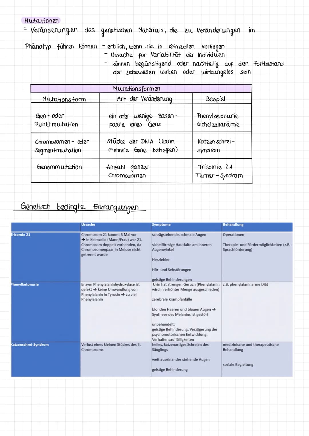 Fachbegriffe
Allele
Gen
Phänotyp
Genotyp
Kennzeichnung: P
Kennzeichnung: F
reinerbig
(homozygot)
Elterngeneration
Ausgangsgruppe einer
(Pare