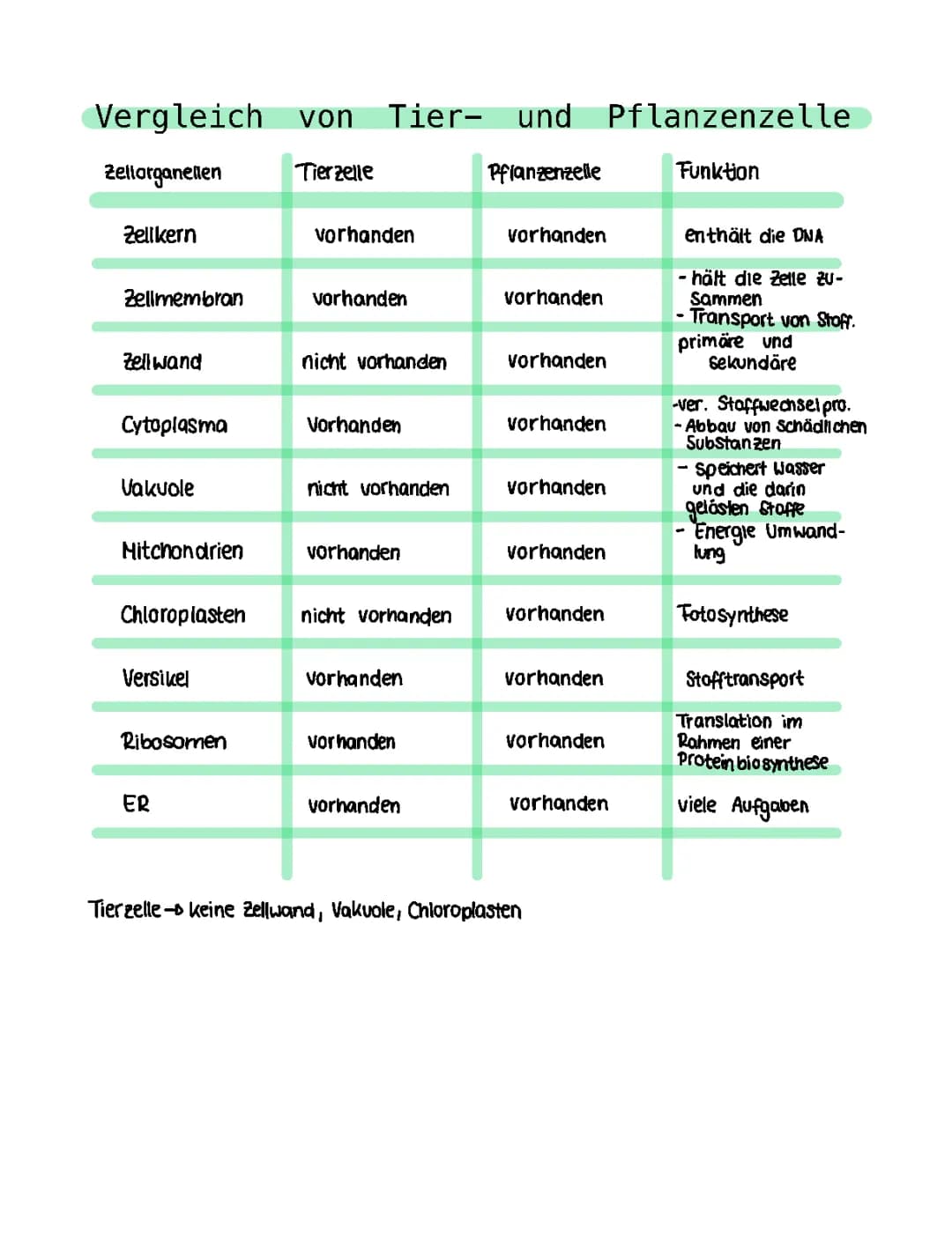 Tier- und Pflanzenzelle 