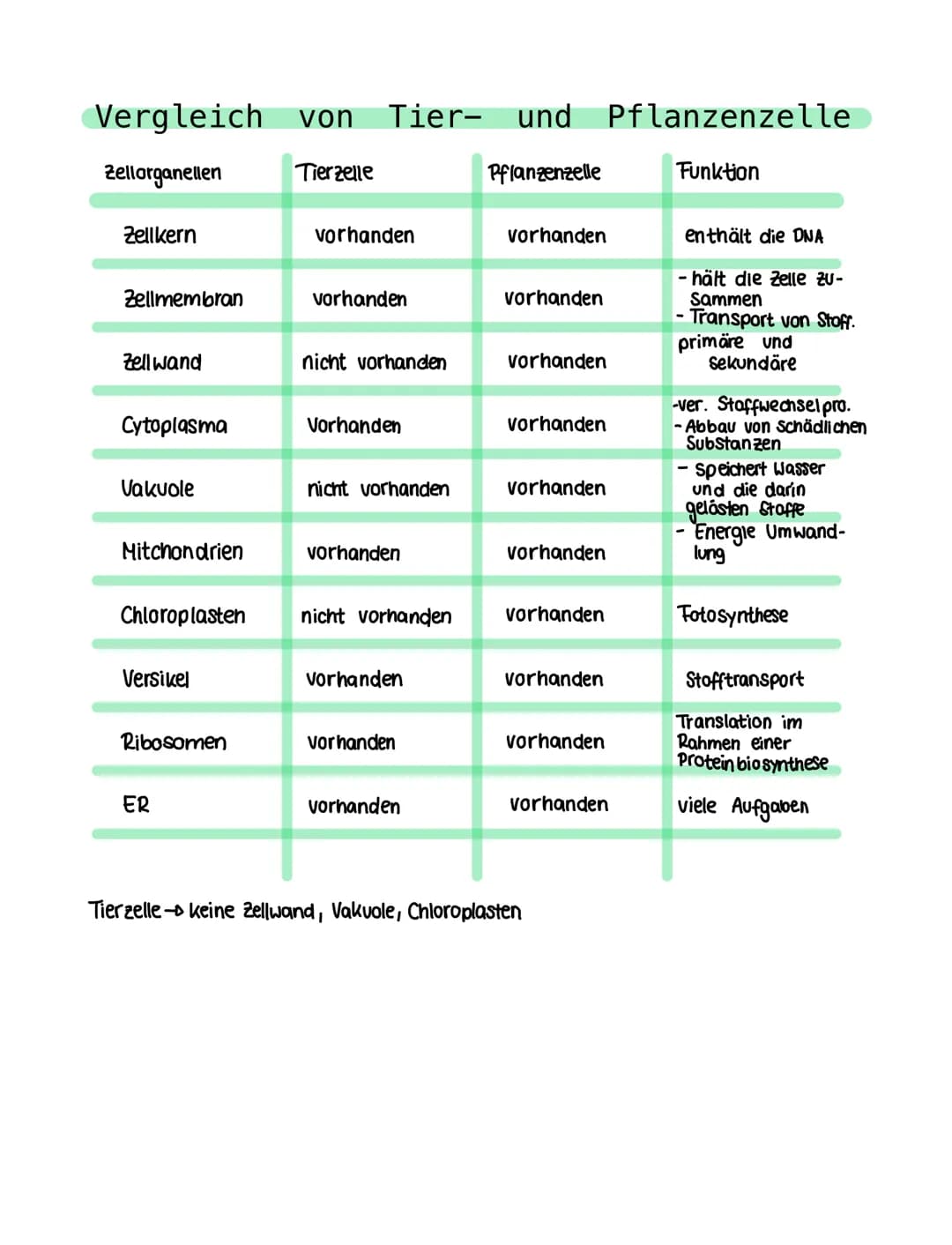 Vergleich von Tier- und Pflanzenzelle
Zellorganellen
Tierzelle
Pflanzenzelle
Funktion
Zellkern
Zellmembran
Zellwand
Cytoplasma
Vakuole
Mitch