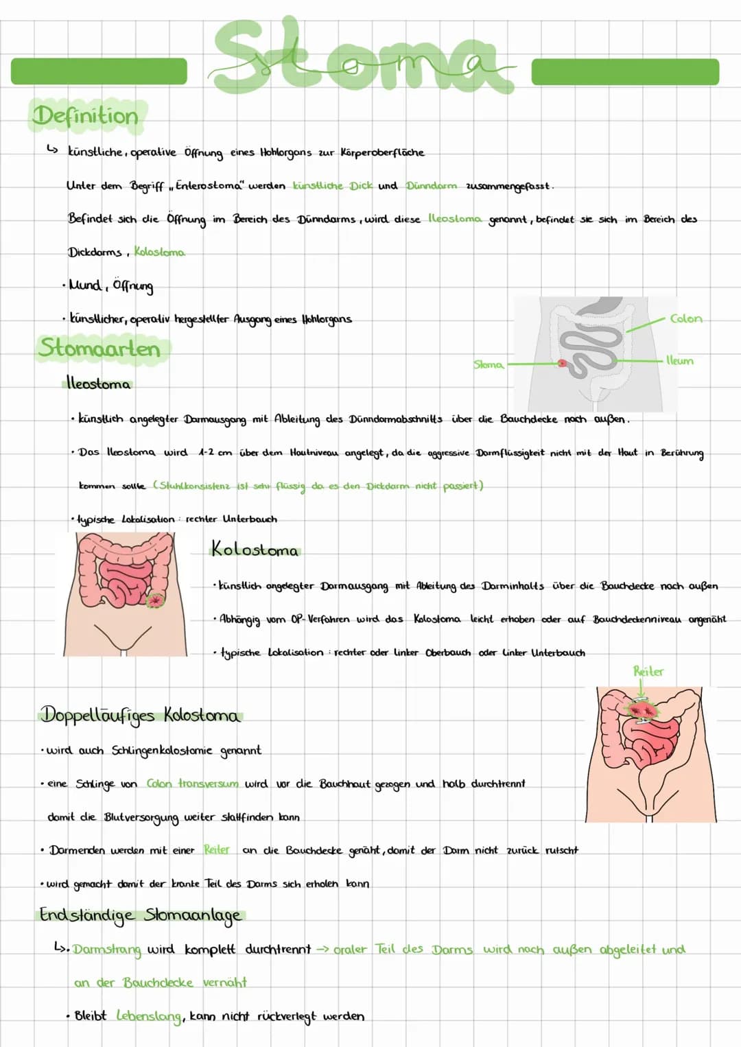 Stoma und Stomaarten