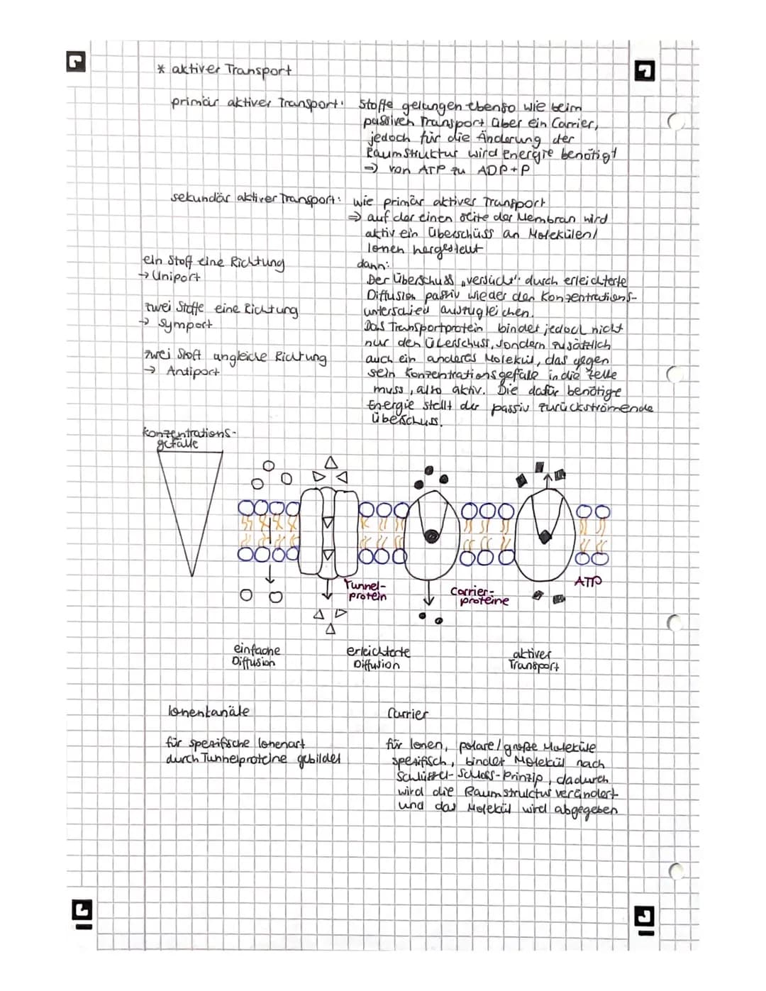 L
biologie
Licht mikroskopisches und Elektronenmikroskopisches
Bild der Zelles
Vakuole
Zellwand
glattes er
Witochondrium
A
9
Pflanze
AB
Gall