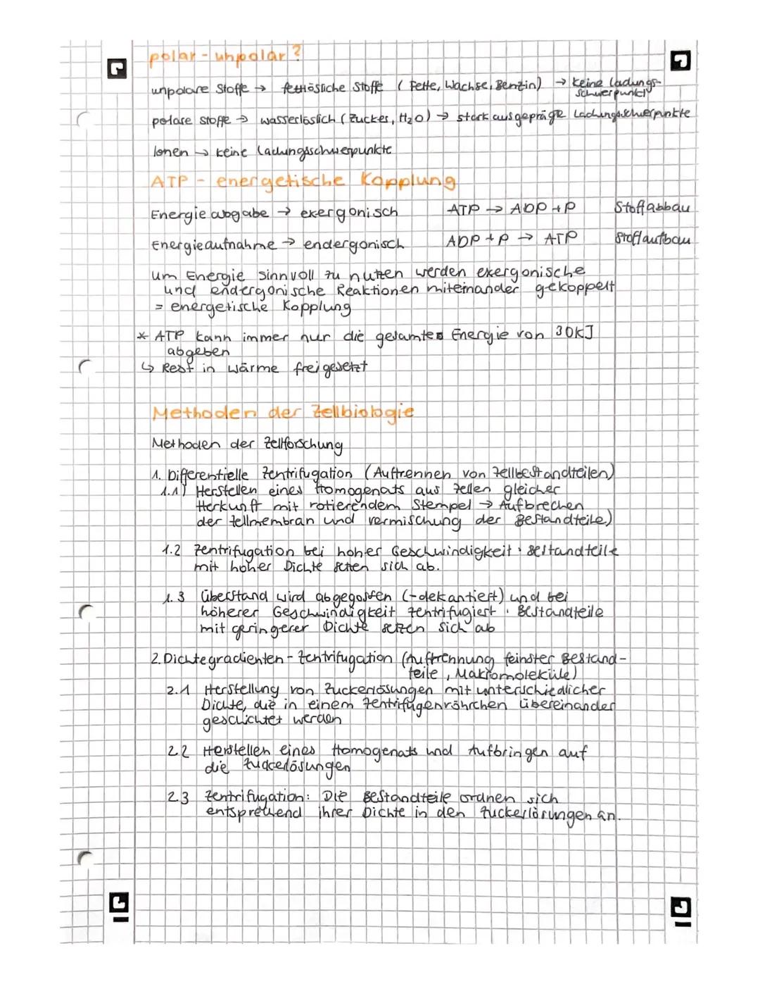 L
biologie
Licht mikroskopisches und Elektronenmikroskopisches
Bild der Zelles
Vakuole
Zellwand
glattes er
Witochondrium
A
9
Pflanze
AB
Gall