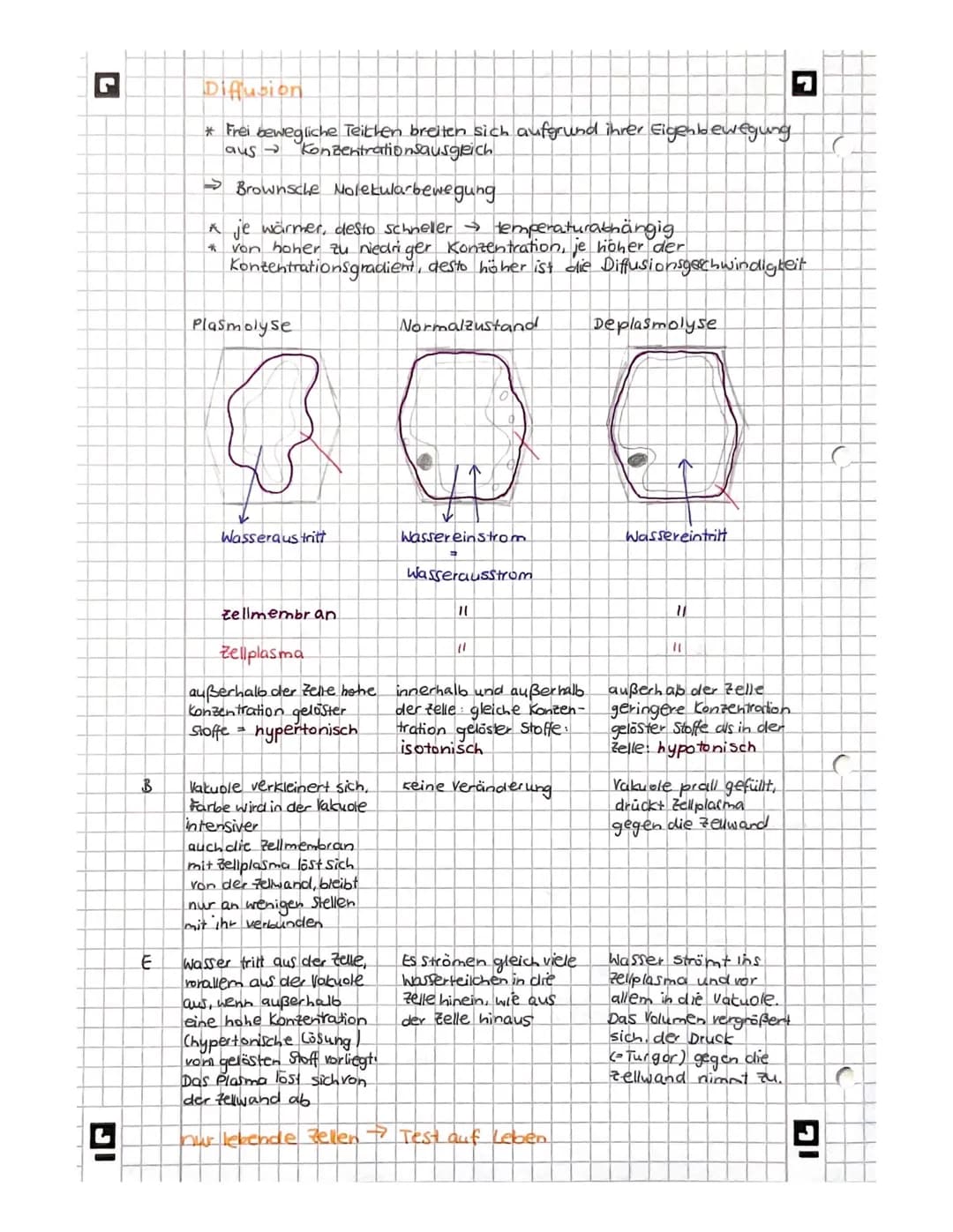 L
biologie
Licht mikroskopisches und Elektronenmikroskopisches
Bild der Zelles
Vakuole
Zellwand
glattes er
Witochondrium
A
9
Pflanze
AB
Gall