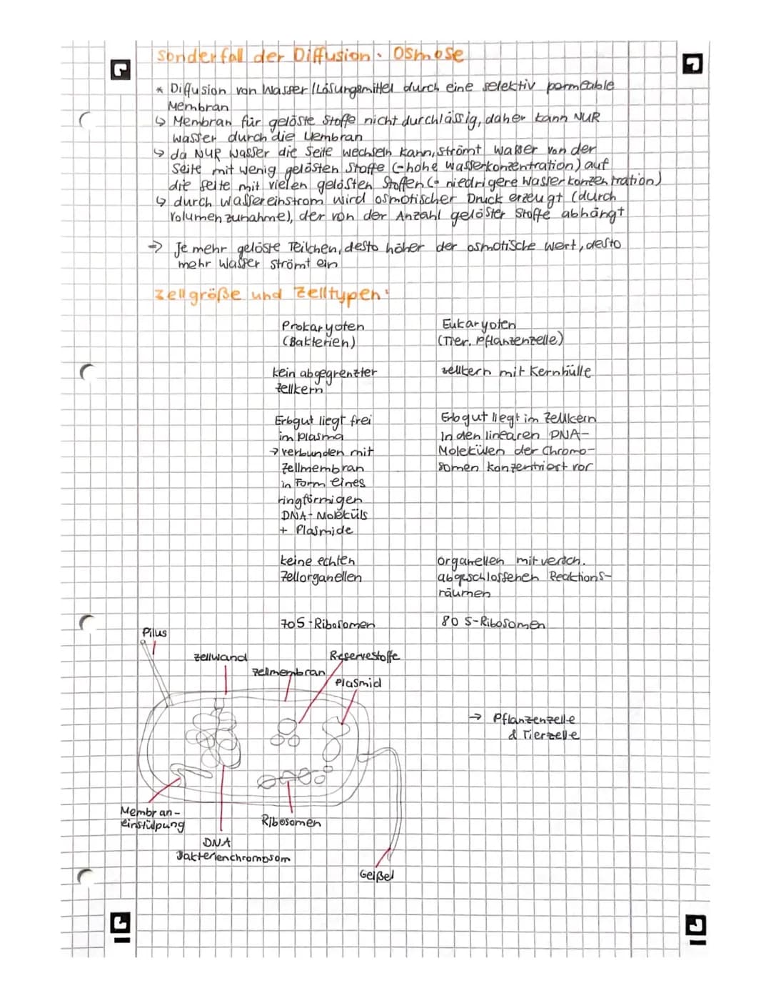 L
biologie
Licht mikroskopisches und Elektronenmikroskopisches
Bild der Zelles
Vakuole
Zellwand
glattes er
Witochondrium
A
9
Pflanze
AB
Gall