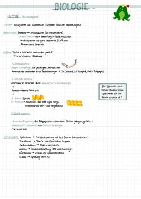 Know Enzyme (Biokatalysator) thumbnail