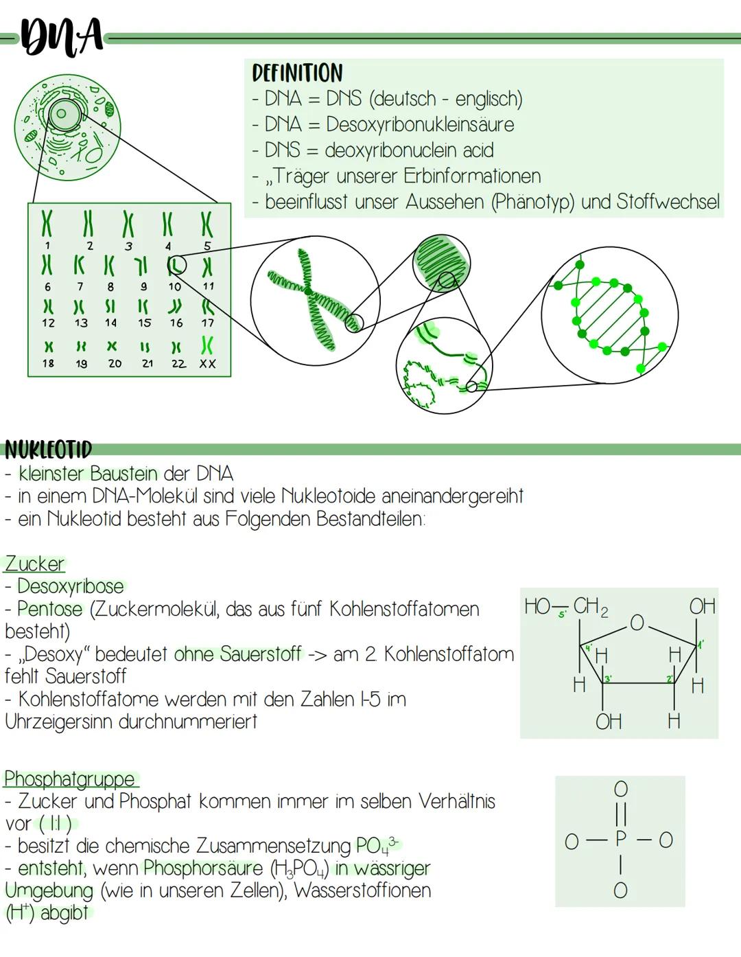 -DNA-
XIMG X
X X X X X
2
4
5
-
1
X K K 1 D X
6
7 8
" >(
SI
3
33 X
18 19 20
FAIR IN
10 11
12 13 14 15 16 17
1( >>
" "
21 22 XX
DEFINITION
- D