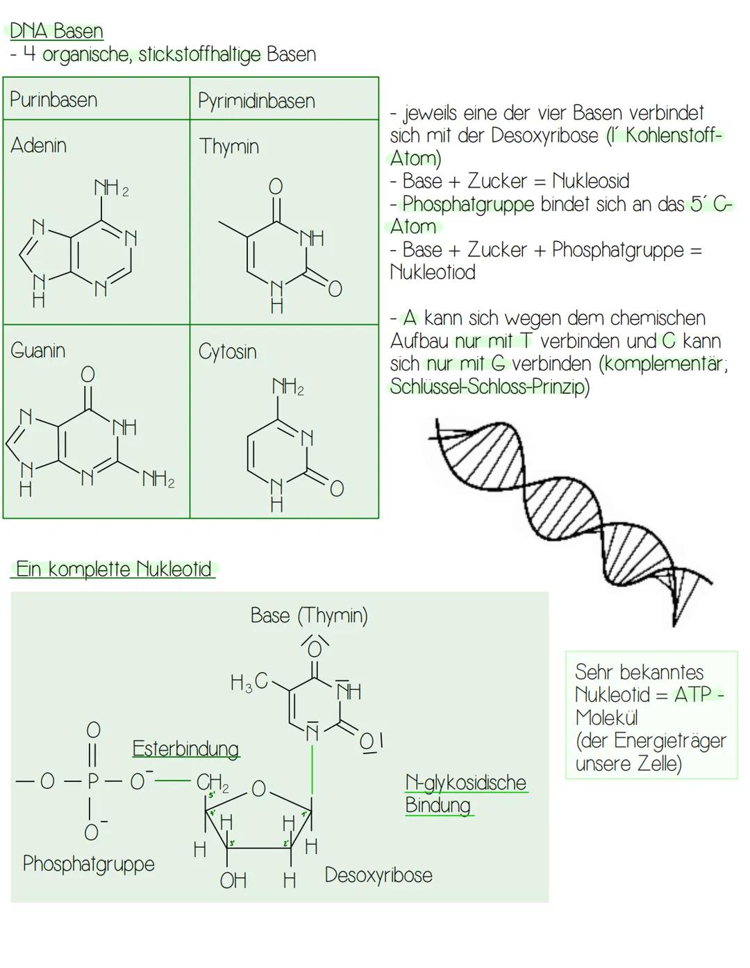 -DNA-
XIMG X
X X X X X
2
4
5
-
1
X K K 1 D X
6
7 8
" >(
SI
3
33 X
18 19 20
FAIR IN
10 11
12 13 14 15 16 17
1( >>
" "
21 22 XX
DEFINITION
- D