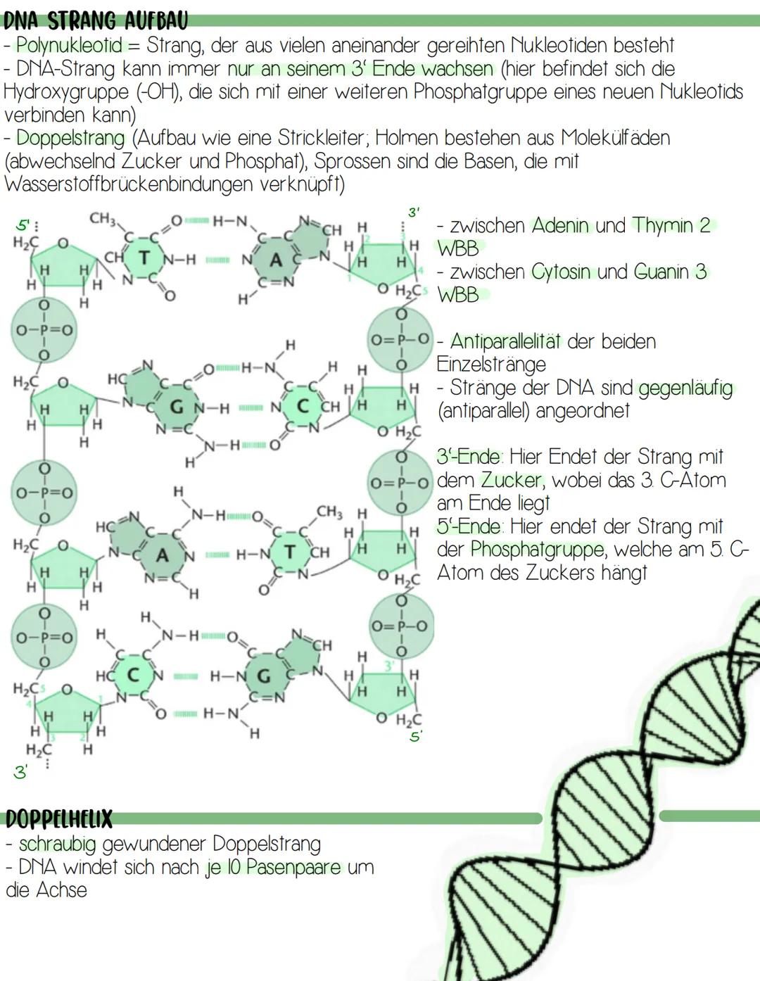 -DNA-
XIMG X
X X X X X
2
4
5
-
1
X K K 1 D X
6
7 8
" >(
SI
3
33 X
18 19 20
FAIR IN
10 11
12 13 14 15 16 17
1( >>
" "
21 22 XX
DEFINITION
- D