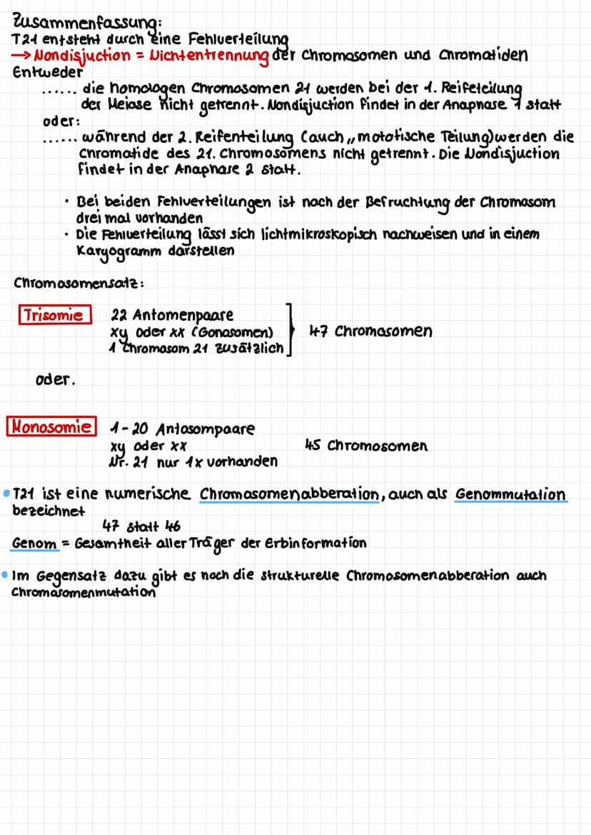 Trisomie 24
Bisher: Reifenteilung →Trennung der homologen Paare
2 Reifenteilung-
23 diploid - 2 x 23 haploid
Jetzt: Abweichung von Standardv