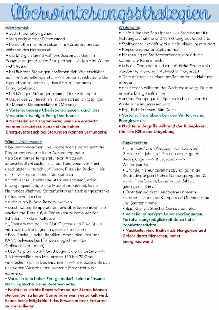 Know Überwinterungsstrategien  thumbnail