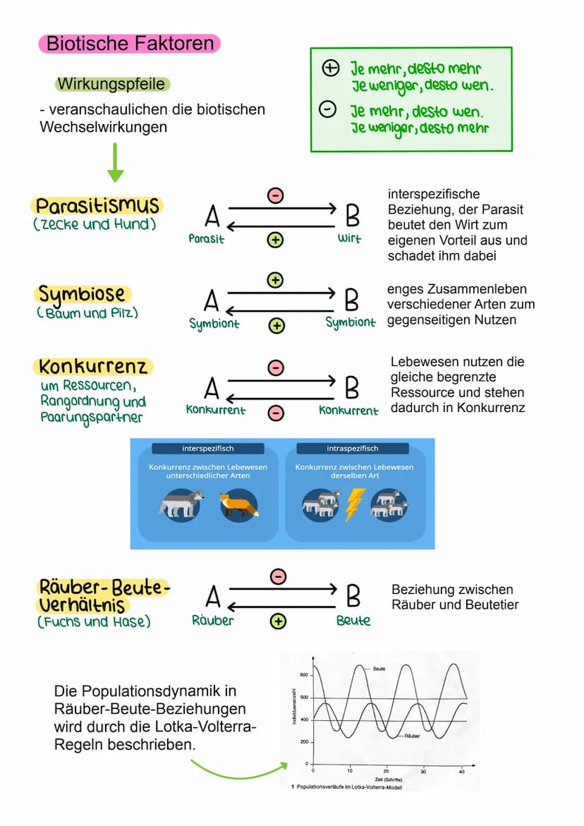 Abiotische Faktoren
- Einflüsse der unbelebten Umwelt, die auf ein Individuum einwirken
- Temperatur
- Licht
- Luftdruck
- Wetter (Niedersch