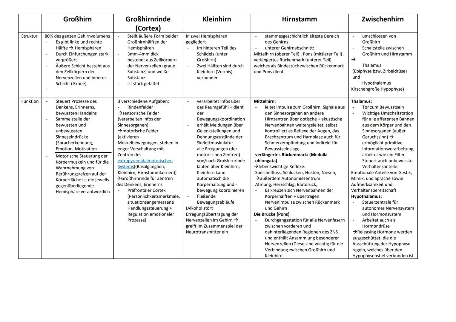 # Struktur
80% des ganzen Gehirnvolumens
Es gibt linke und rechte
Hälfte → Hemisphären
Durch Einfurchungen stark
vergrößert
Äußere Schicht b