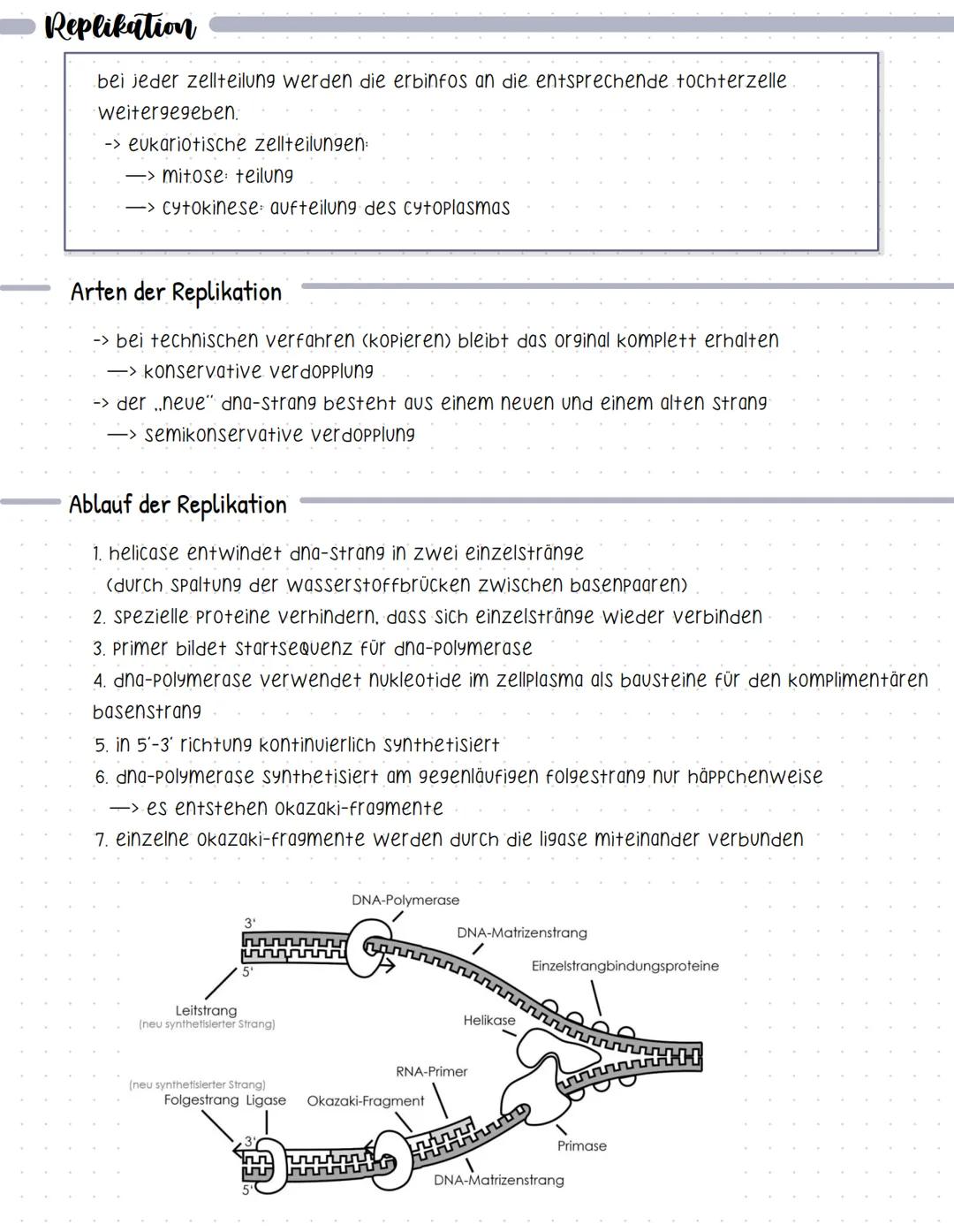 # Replikation
bei jeder zellteilung werden die erbinfos an die entsprechende tochterzelle
weitergegeben.
-> eukariotische zellteilungen:
-> 