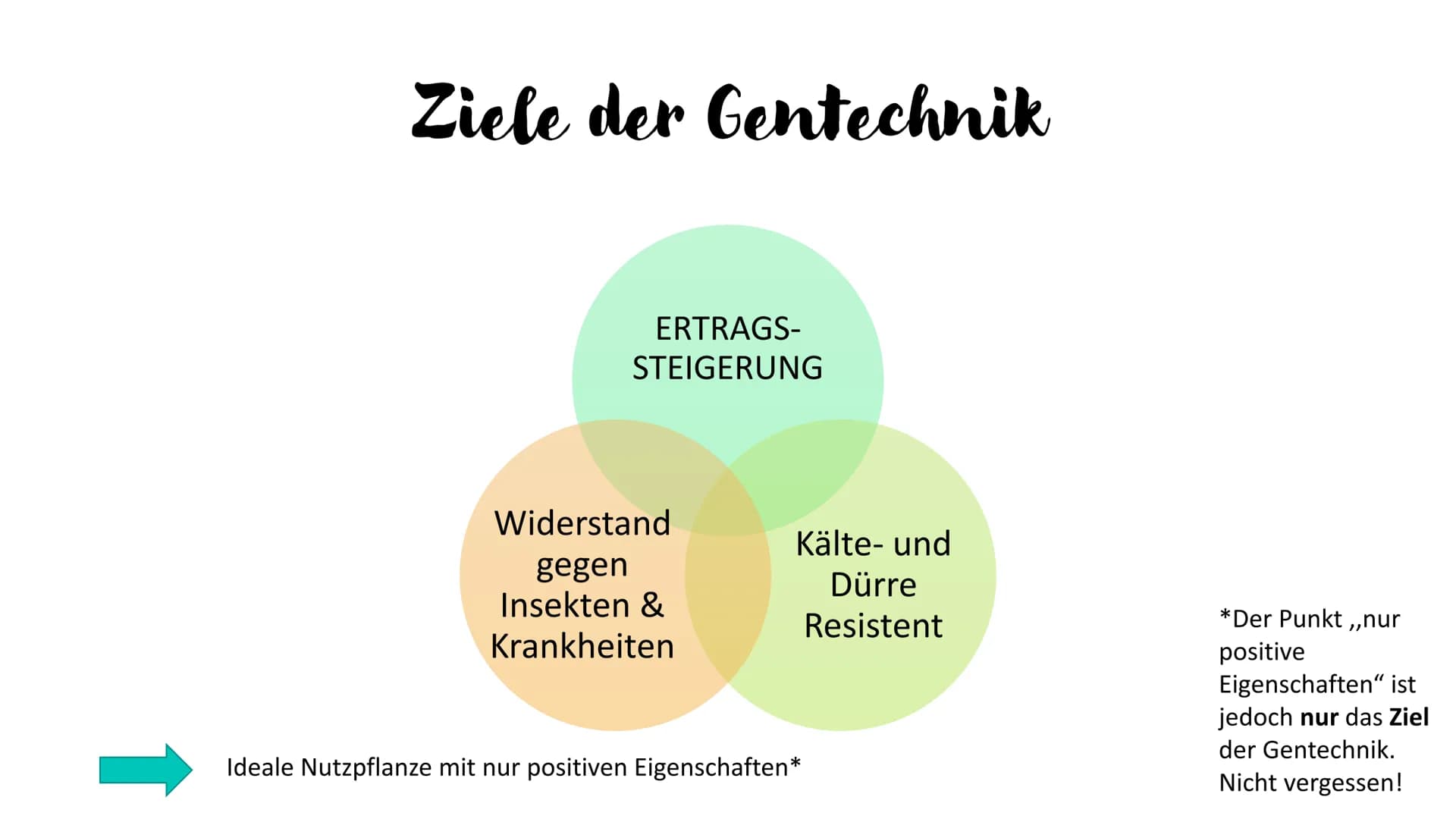 AKTUELLE TRENDS
in der Lebensmittelindustrie
Gentechnisch veränderte Lebensmittel &
Nahrungsergänzungsmittel
Fluch oder Segen?
Hanna Singhof