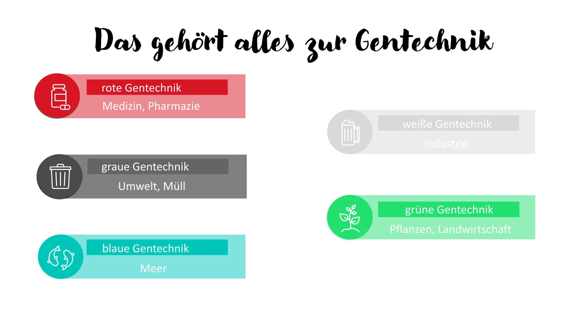 AKTUELLE TRENDS
in der Lebensmittelindustrie
Gentechnisch veränderte Lebensmittel &
Nahrungsergänzungsmittel
Fluch oder Segen?
Hanna Singhof