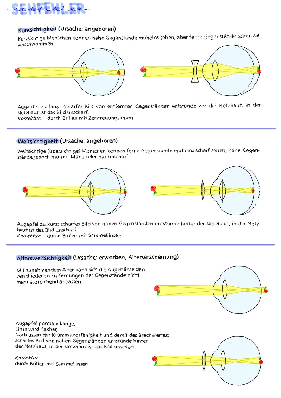 bau des auges
Augenlid mit
Wimpern
Linsenbänder
Augenkammern-
Linnse
Pupille
Hornhaut
Pupille
Glaskörper.
Regenbogenhaut
Augenkammern
Glaskö