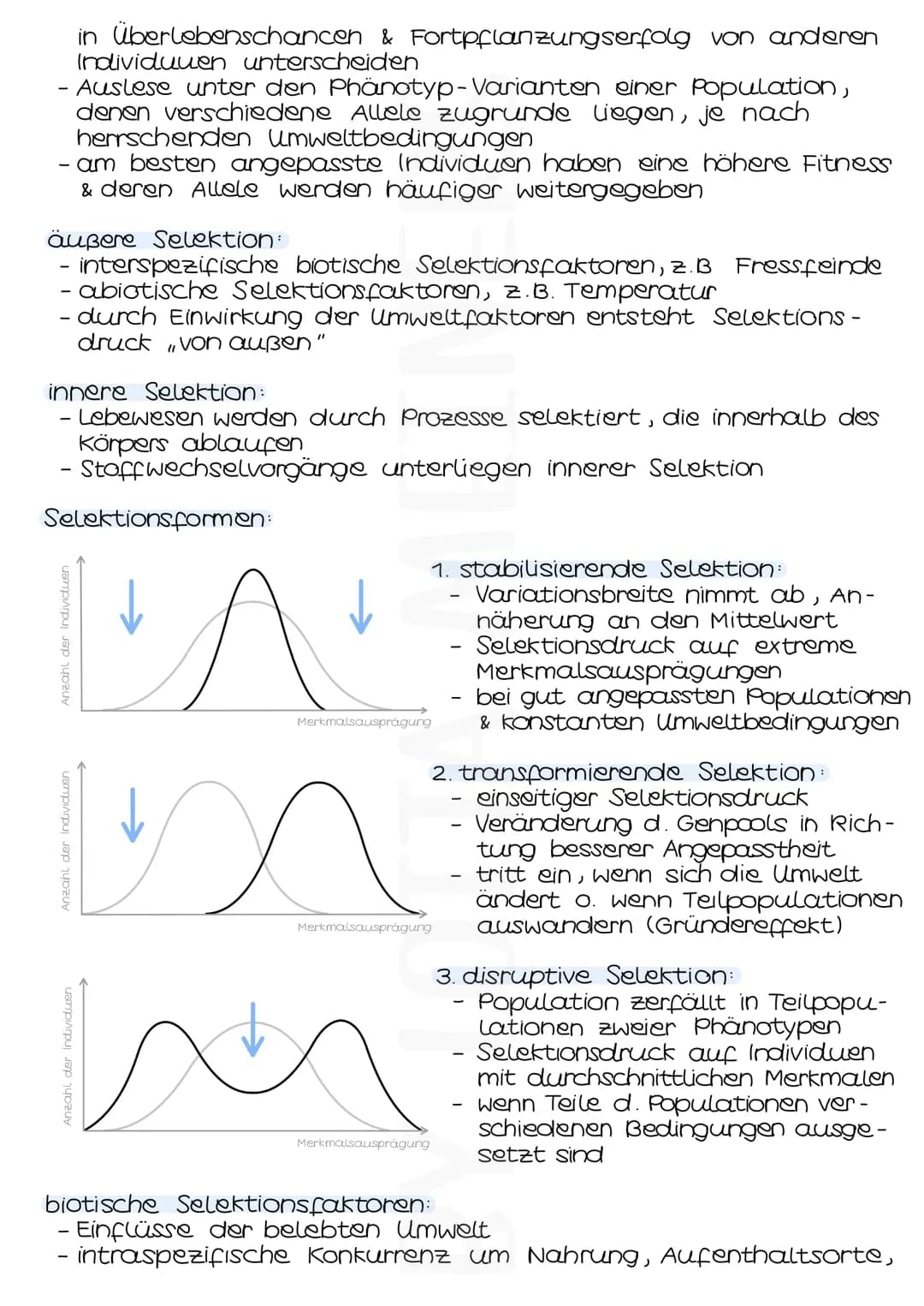 Evolutionsfaktoren
MUTATIONEN
- zufällige & ungerichtete Änderungen der genetischen Informa-
tionen einer Zelle
- entstehen spontan oder dur