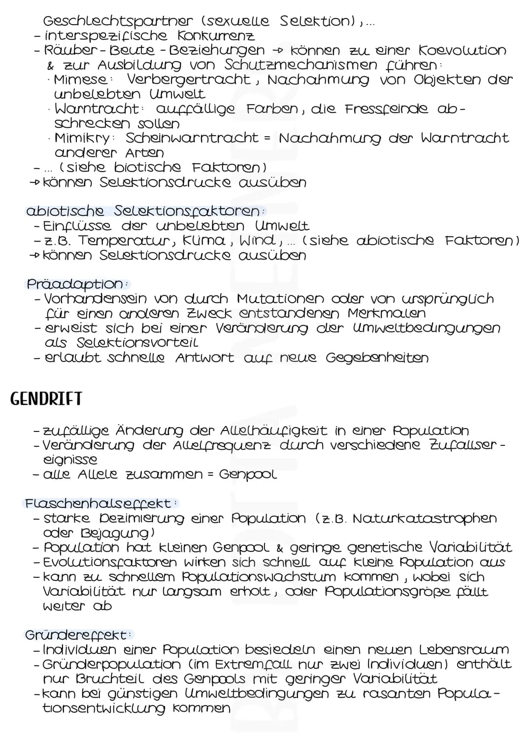 Evolutionsfaktoren
MUTATIONEN
- zufällige & ungerichtete Änderungen der genetischen Informa-
tionen einer Zelle
- entstehen spontan oder dur